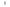 Tetra Fish