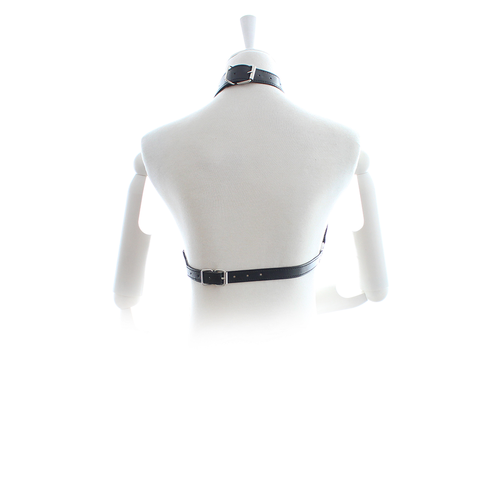 Bra Harness