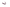Tetra Fish