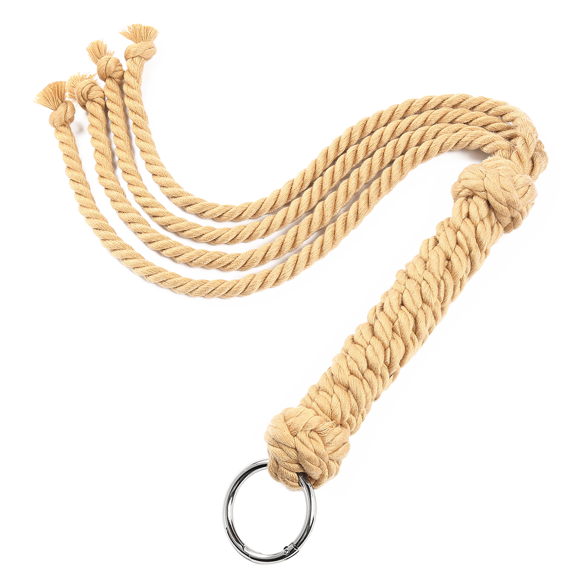 Beginners Whip