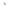 Tetra Fish